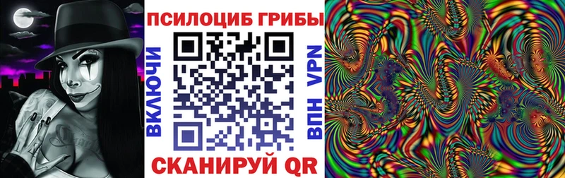 Псилоцибиновые грибы Cubensis Малаховка